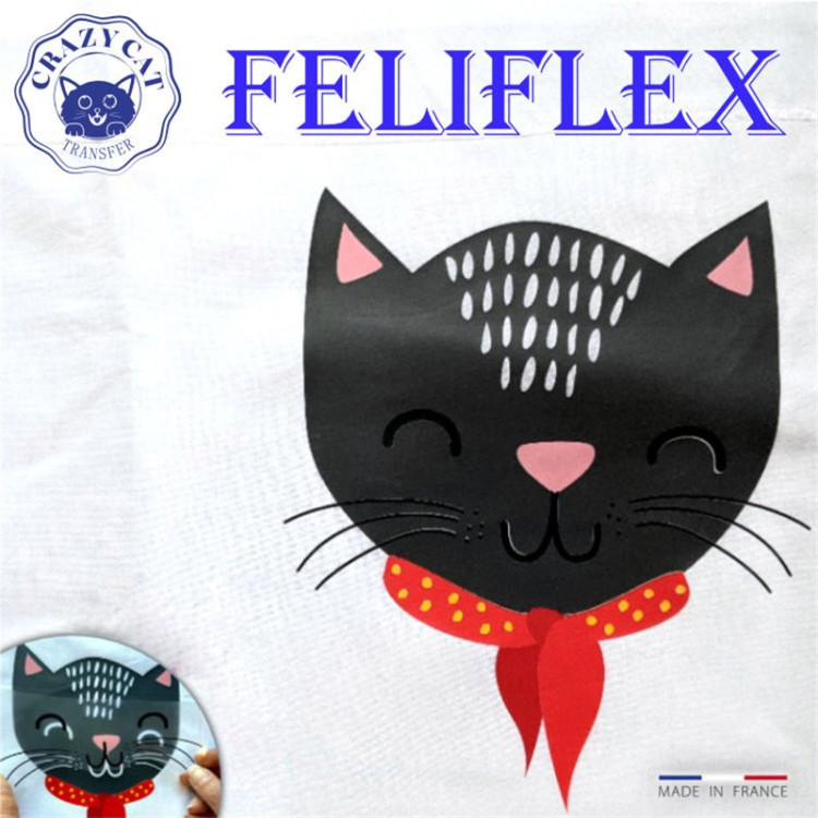 FéliFlex
